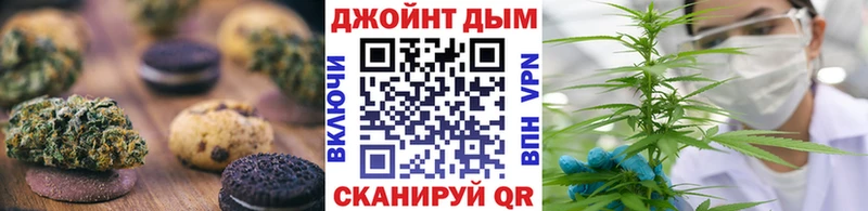 купить наркотики цена  МЕГА маркетплейс  Canna-Cookies марихуана  Чадан 