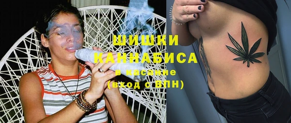 трава Арсеньев