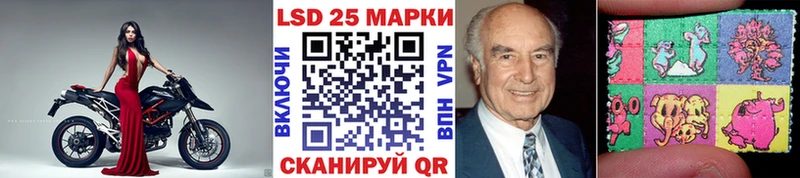 сколько стоит  Чадан  Марки 25I-NBOMe 1,5мг 
